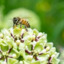 자연누리힐링 이미지