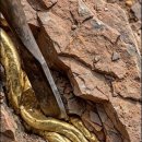 From Hidden Gold Vein to Pure Gold Bar 🔨✨ | 이미지