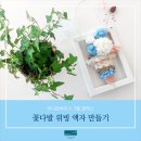 허니문데이