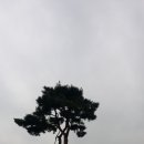 무심교옆 이미지