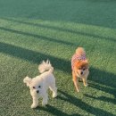 군자유치원 이미지
