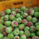 사암농장 이미지