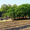 산내들농장 이미지