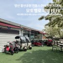 페페(FEFE)