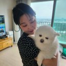 869기 3대대 020301 김민엽 이미지