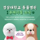 브루더헬스케어