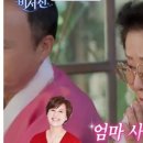 행복한 산책 이미지