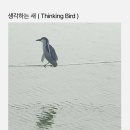 강성은꽃 이미지