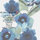 컬리 살롱 이미지