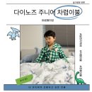 아르페지오왔다이불방 | 공룡이불 추천 먼지없는 알러지케어 아르페지오 다이노즈 키즈이불 후기