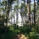 나무골마을 이미지