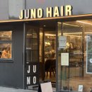 염색하기좋은날 | 솔직후기) 준오헤어 천호로데오점(가을맞이 매트브라운으로 염색하기🍂 )