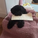 이매고교 내 | 6月