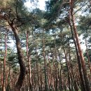 화진포박포수가든 이미지