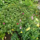 간산고택 이미지