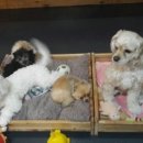 루이야 학교가자 이미지