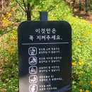 휘경2동주민센터 건너편 배봉산둘레길 입구 이미지