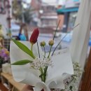 블랑프랩
