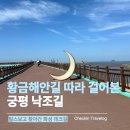 궁평항 | 화성 궁평항 낙조길 후기｜릴스 보고 찾아간 황금해안길 궁평관광길 해송길 산책