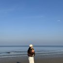 C4 | 태안 바다앞 사목공원 캠핑장 오토캠핑 애견동반 C4 사이트 후기