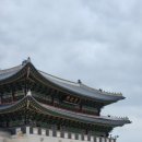 세이슈퍼 | 🖼️ &#34;경복궁 생각&#34; 전시 후기 🐯 국가유산채널 X 예세이