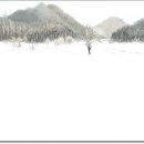 겨울아침창가에서 이미지