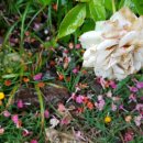 블루마린펜션민박 이미지