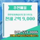 롯데부동산중개사무소 이미지