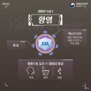 플라비 이미지