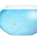 금붕어PC 이미지