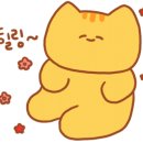 네오피자대구 네이버블로그