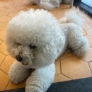 라라까까 이미지