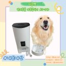 390 | [디클펫] 대형견 자동급식기 AT-390 후기