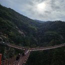 거창항노화힐링랜드 Y자형출렁다리 상세안내 견암폭포 창포원 다녀온 후기