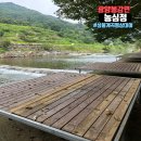 광양 가볼만한 곳 물놀이하기 좋은 백운산성불계곡민박 농심정 평상대여