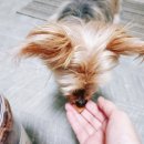 (주)에이치엔에프 이미지