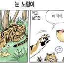 허영만의 꼴 - 제355화 (눈 노랑이) 이미지