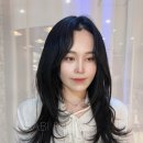 다올붙임머리