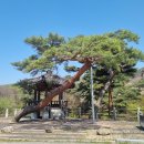 영주...금선정錦仙亭 이미지