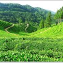 봇재다원화장실 이미지