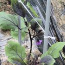 해원농장 이미지