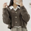 써니컴퍼니 이미지