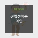 메디웰주식회사 이미지