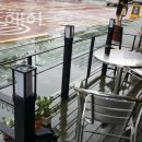 엘리스헤어 이미지