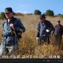 금강약국 앞 이미지