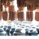 메주꽃이랑 이미지