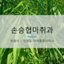 경기도 수원시 팔달구 중부대로 94 (인계동) 이미지