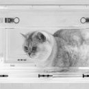 현진메디칼 이미지