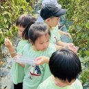 바다유치원 이미지