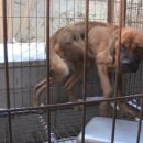 영상농장 이미지